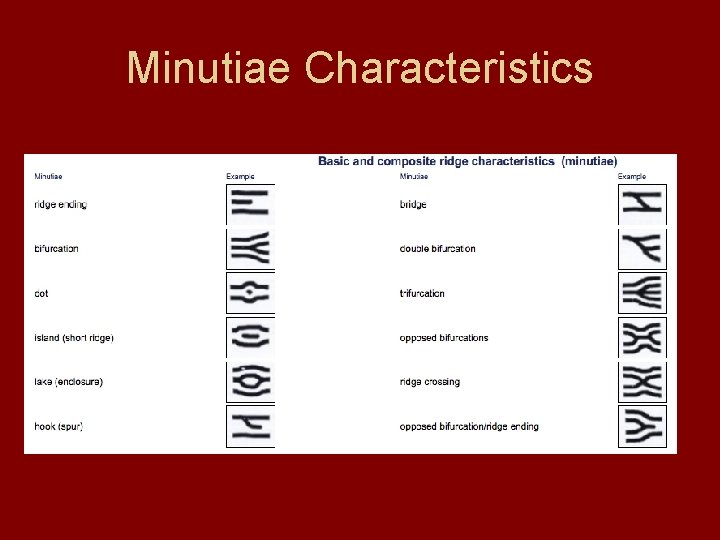 Minutiae Characteristics 
