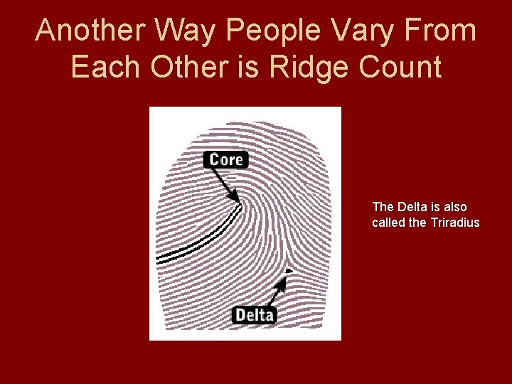 Another Way People Vary From Each Other is Ridge Count The Delta is also