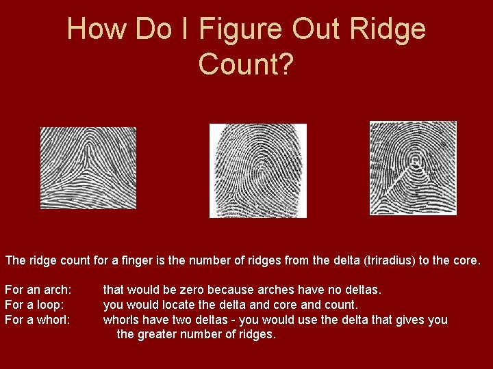 How Do I Figure Out Ridge Count? The ridge count for a finger is