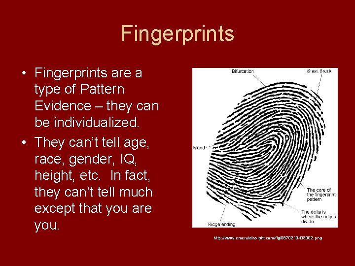 Fingerprints • Fingerprints are a type of Pattern Evidence – they can be individualized.