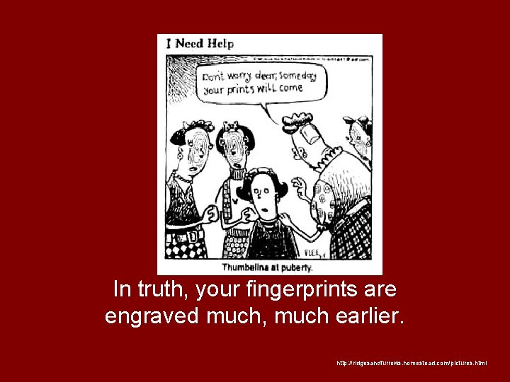 In truth, your fingerprints are engraved much, much earlier. http: //ridgesandfurrows. homestead. com/pictures. html