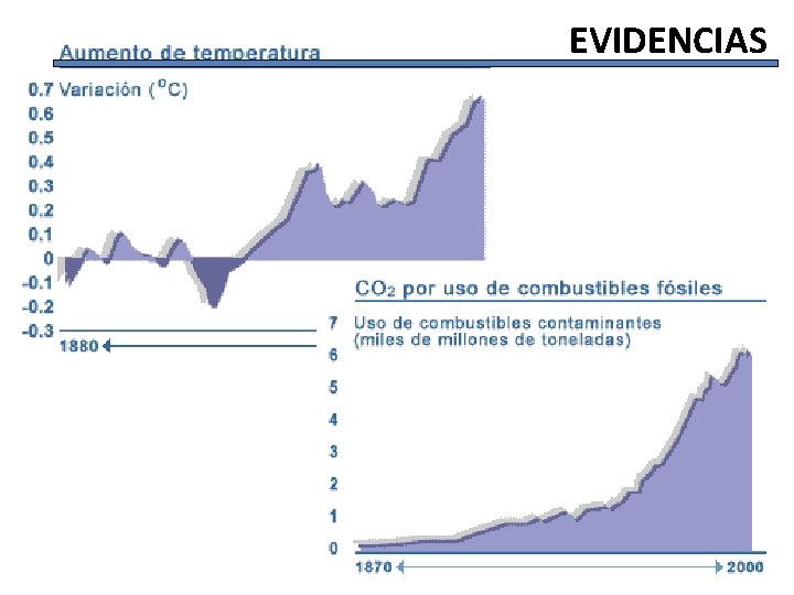 EVIDENCIAS 