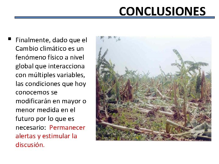 CONCLUSIONES § Finalmente, dado que el Cambio climático es un fenómeno físico a nivel