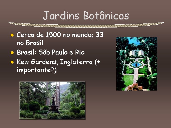 Jardins Botânicos l l l Cerca de 1500 no mundo; 33 no Brasil: São