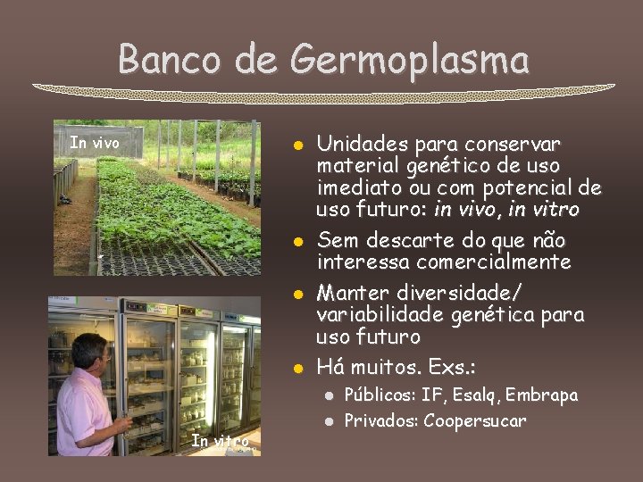 Banco de Germoplasma In vivo l l Unidades para conservar material genético de uso