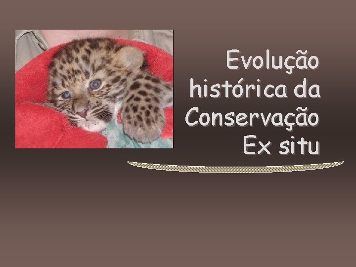 Evolução histórica da Conservação Ex situ 