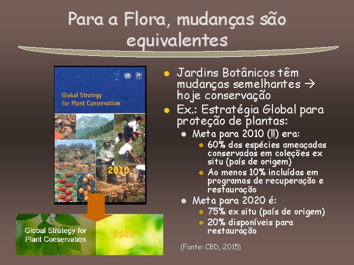 Para a Flora, mudanças são equivalentes l l Jardins Botânicos têm mudanças semelhantes hoje