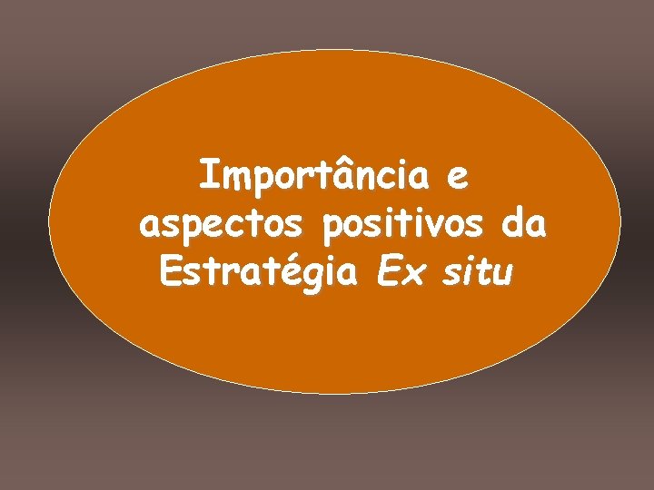 Importância e aspectos positivos da Estratégia Ex situ 