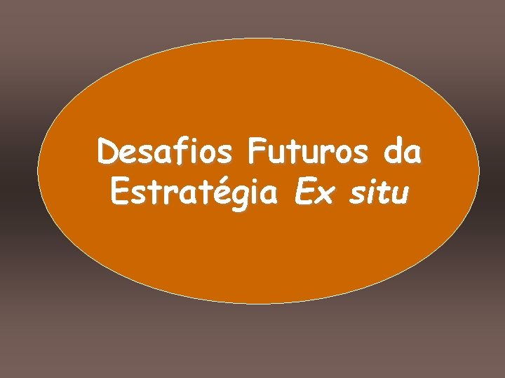 Desafios Futuros da Estratégia Ex situ 