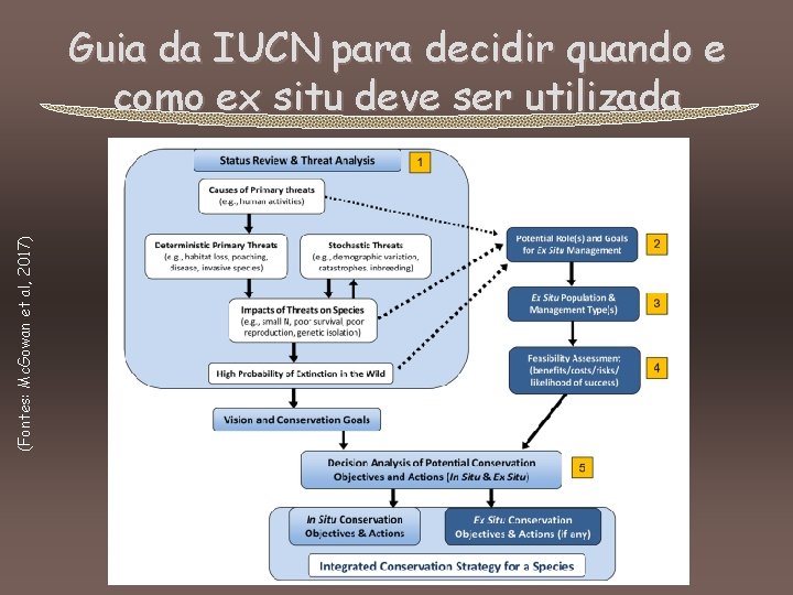 (Fontes: Mc. Gowan et al, 2017) Guia da IUCN para decidir quando e como