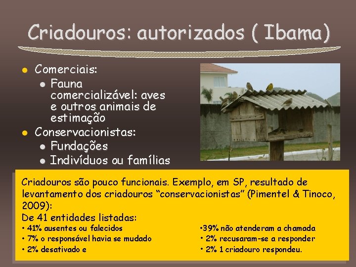 Criadouros: autorizados ( Ibama) l l Comerciais: l Fauna comercializável: aves e outros animais