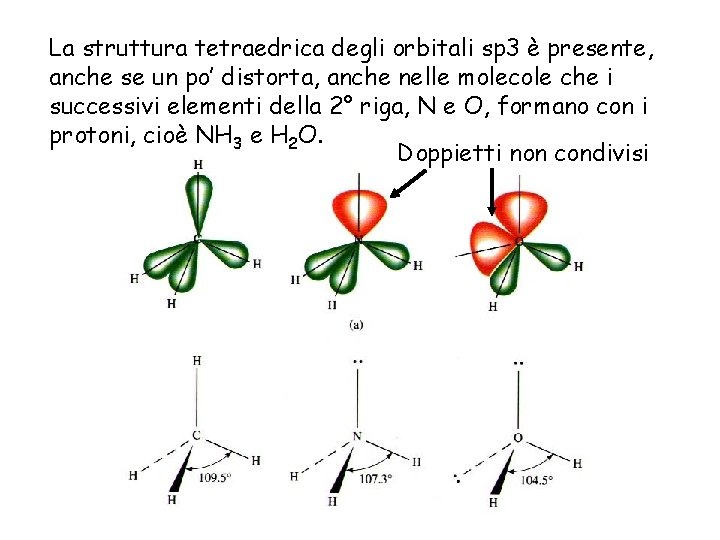 La struttura tetraedrica degli orbitali sp 3 è presente, anche se un po’ distorta,