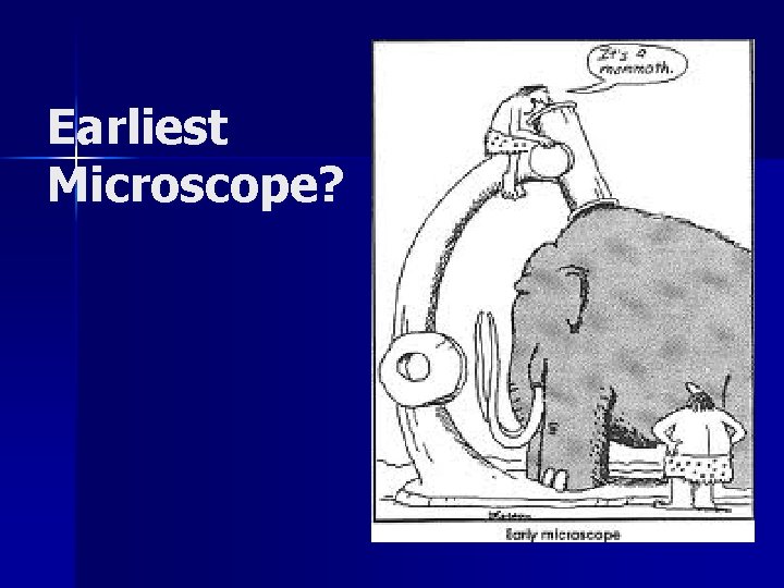 Earliest Microscope? 