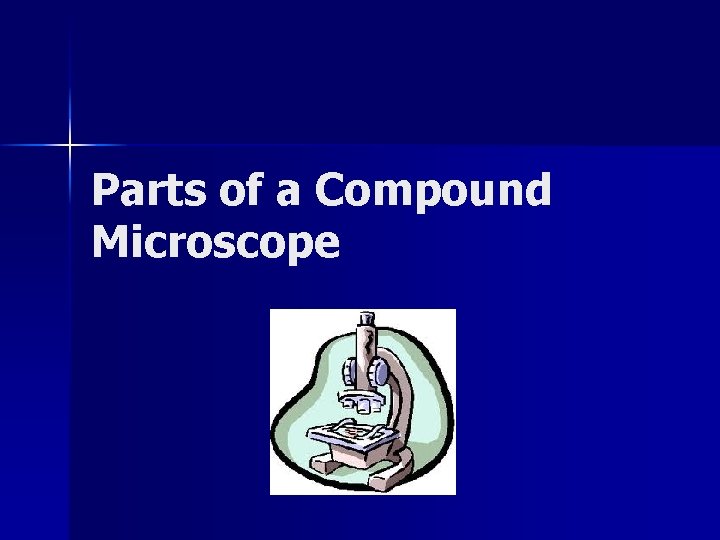 Parts of a Compound Microscope 