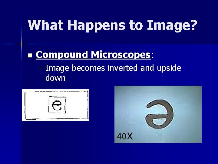 What Happens to Image? n Compound Microscopes: – Image becomes inverted and upside down