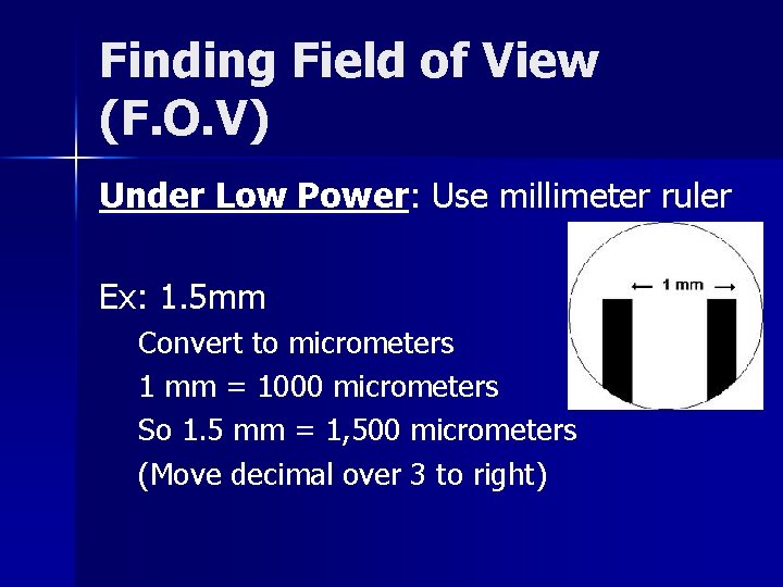 Finding Field of View (F. O. V) Under Low Power: Use millimeter ruler Ex: