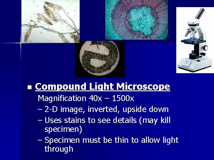 n Compound Light Microscope Magnification 40 x – 1500 x – 2 -D image,