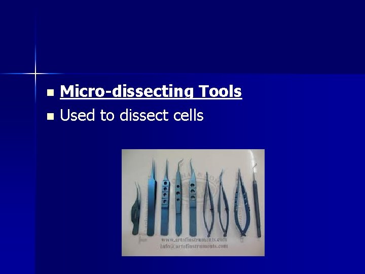 Micro-dissecting Tools n Used to dissect cells n 