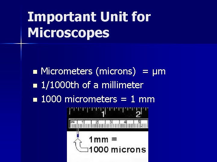 Important Unit for Microscopes Micrometers (microns) = µm n 1/1000 th of a millimeter