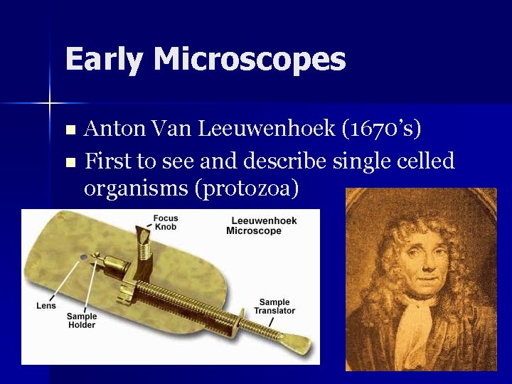 Early Microscopes Anton Van Leeuwenhoek (1670’s) n First to see and describe single celled