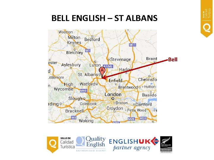 BELL ENGLISH – ST ALBANS Bell 