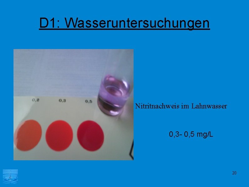 D 1: Wasseruntersuchungen Nitritnachweis im Lahnwasser 0, 3 - 0, 5 mg/L 20 