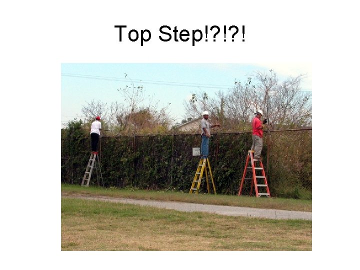 Top Step!? !? ! 