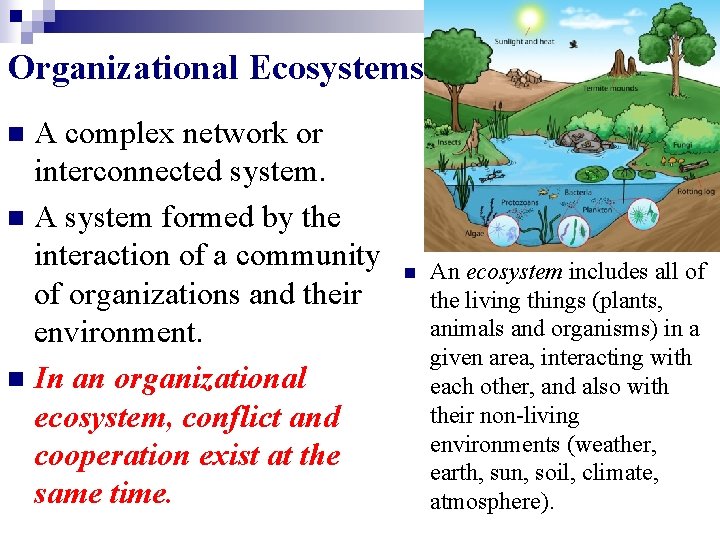 Organizational Ecosystems A complex network or interconnected system. n A system formed by the