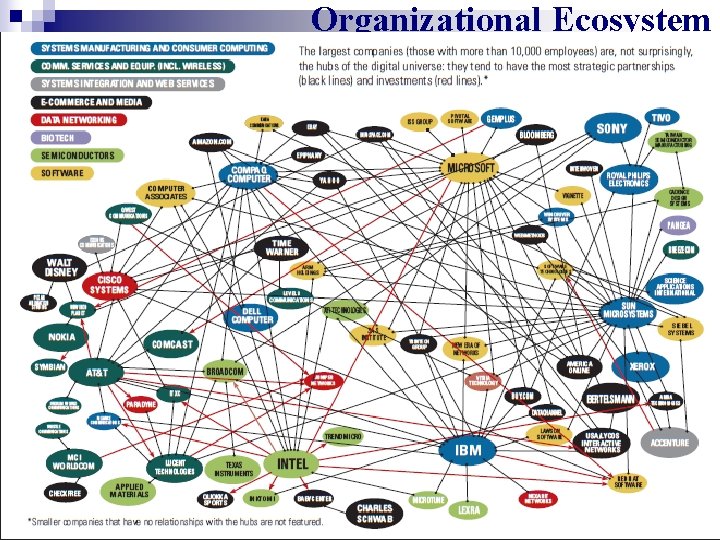 Organizational Ecosystem 5 