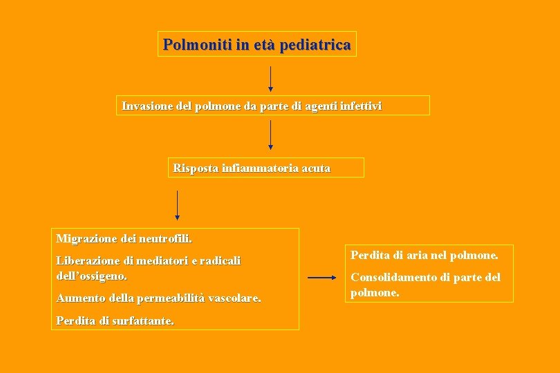 Polmoniti in età pediatrica Invasione del polmone da parte di agenti infettivi Risposta infiammatoria