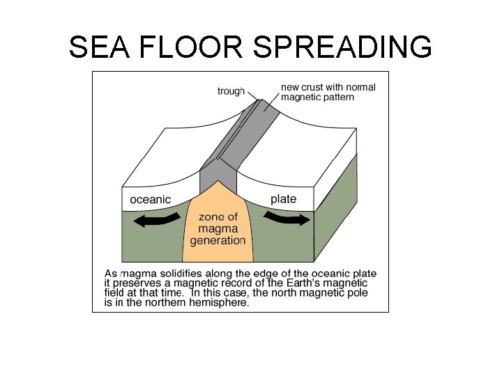 SEA FLOOR SPREADING 