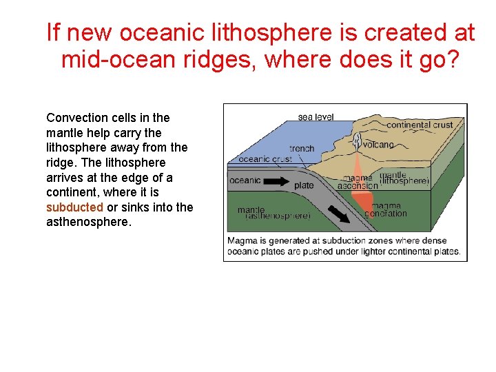 If new oceanic lithosphere is created at mid-ocean ridges, where does it go? Convection