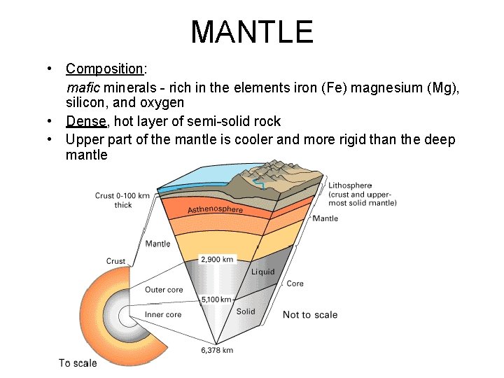 MANTLE • Composition: mafic minerals - rich in the elements iron (Fe) magnesium (Mg),