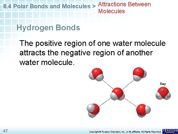 8. 4 Polar Bonds and Molecules > Attractions Between Molecules Hydrogen Bonds The positive