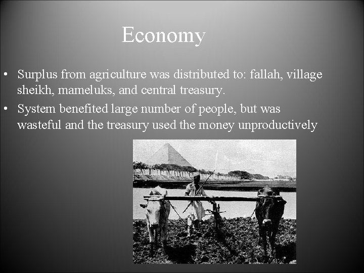 Economy • Surplus from agriculture was distributed to: fallah, village sheikh, mameluks, and central