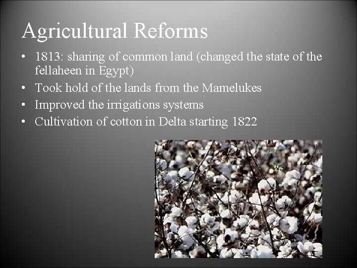 Agricultural Reforms • 1813: sharing of common land (changed the state of the fellaheen