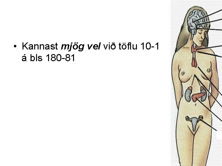  • Kannast mjög vel við töflu 10 -1 á bls 180 -81 