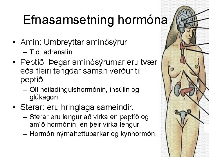 Efnasamsetning hormóna • Amín: Umbreyttar amínósýrur – T. d. adrenalín • Peptíð: Þegar amínósýrurnar