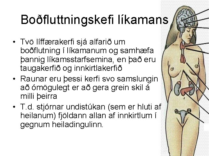 Boðfluttningskefi líkamans • Tvö líffærakerfi sjá alfarið um boðflutning í líkamanum og samhæfa þannig