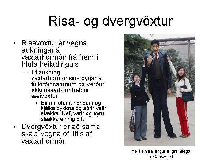 Risa- og dvergvöxtur • Risavöxtur er vegna aukningar á vaxtarhormón frá fremri hluta heiladinguls