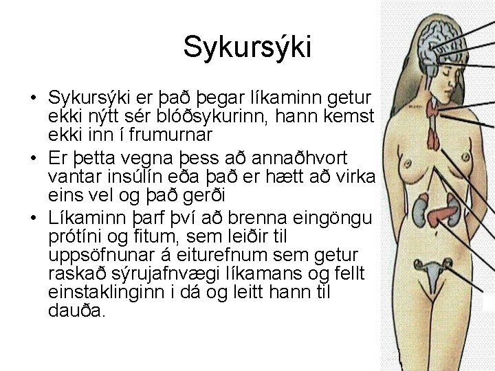 Sykursýki • Sykursýki er það þegar líkaminn getur ekki nýtt sér blóðsykurinn, hann kemst