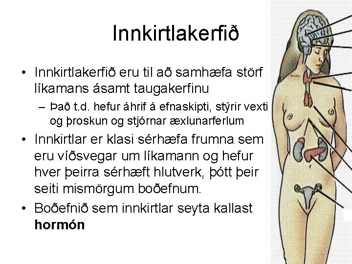 Innkirtlakerfið • Innkirtlakerfið eru til að samhæfa störf líkamans ásamt taugakerfinu – Það t.