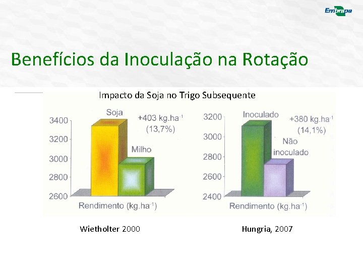 Benefícios da Inoculação na Rotação Impacto da Soja no Trigo Subsequente Wietholter 2000 Hungria,