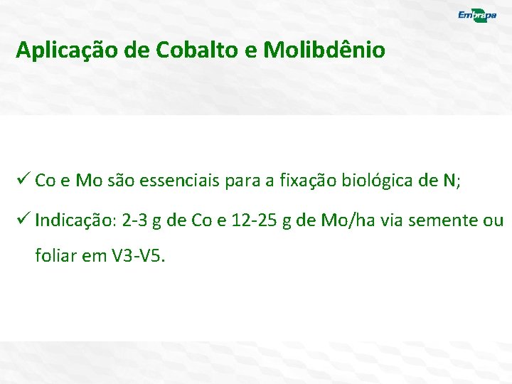 Aplicação de Cobalto e Molibdênio ü Co e Mo são essenciais para a fixação