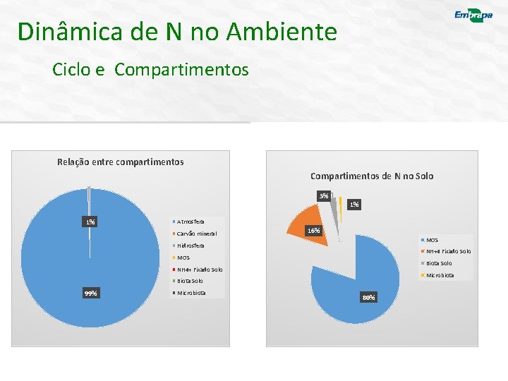 Dinâmica de N no Ambiente Ciclo e Compartimentos Relação entre compartimentos Compartimentos de N