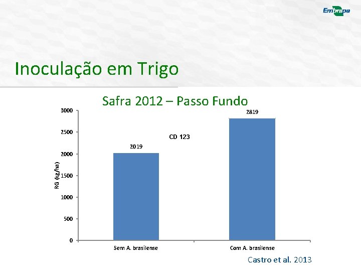 Inoculação em Trigo 3000 Safra 2012 – Passo Fundo 2819 2500 RG (kg/ha) 2000