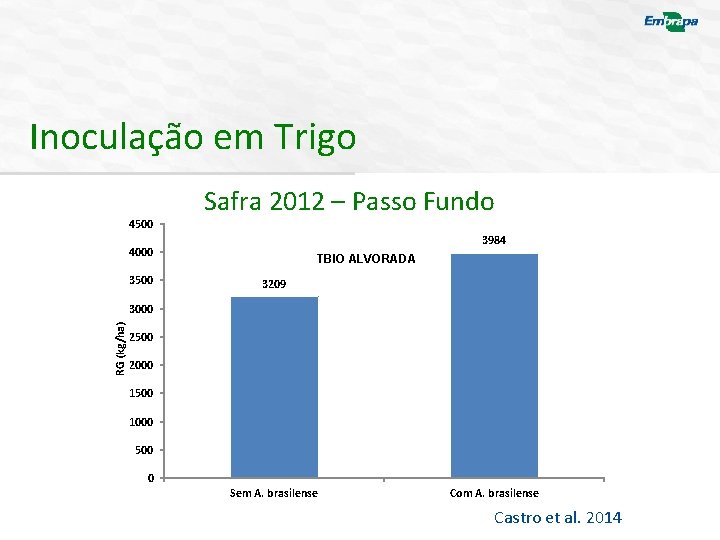 Inoculação em Trigo 4500 Safra 2012 – Passo Fundo 3984 4000 3500 TBIO ALVORADA