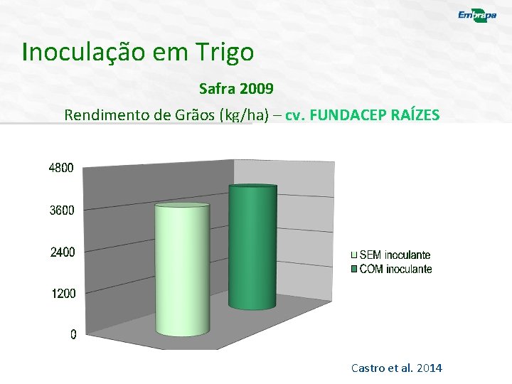 Inoculação em Trigo Safra 2009 Rendimento de Grãos (kg/ha) – cv. FUNDACEP RAÍZES Castro