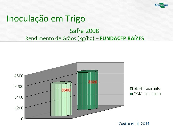 Inoculação em Trigo Safra 2008 Rendimento de Grãos (kg/ha) – FUNDACEP RAÍZES 4800 3600