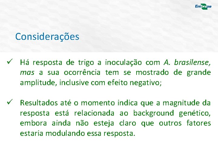 Considerações ü Há resposta de trigo a inoculação com A. brasilense, mas a sua